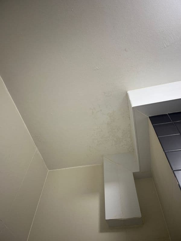 Ceiling Mould Removal and Anti-mould Painting for Residential Property at Northshore Drive - Image 11
