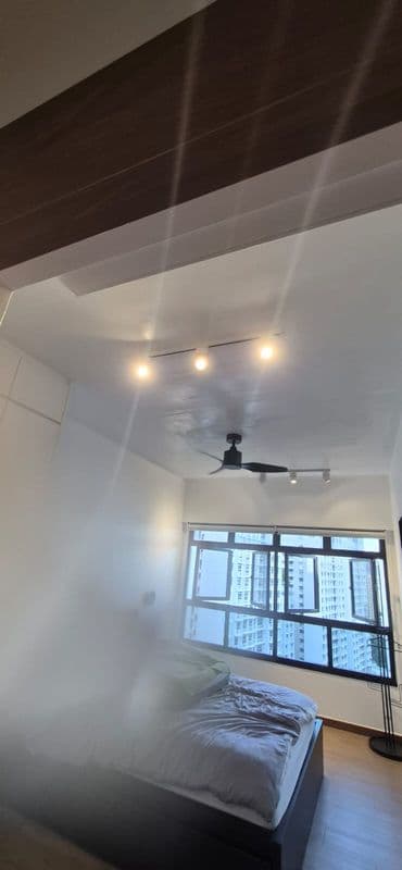 Ceiling Mould Removal and Anti-mould Painting for Residential Property at Northshore Drive - Image 6