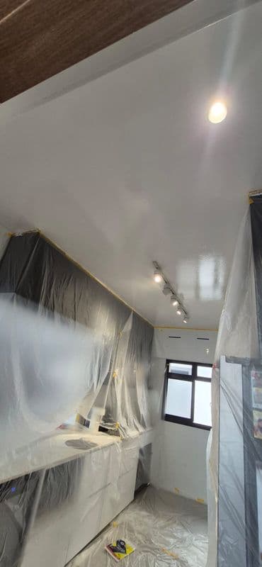 Ceiling Mould Removal and Anti-mould Painting for Residential Property at Northshore Drive - Image 8