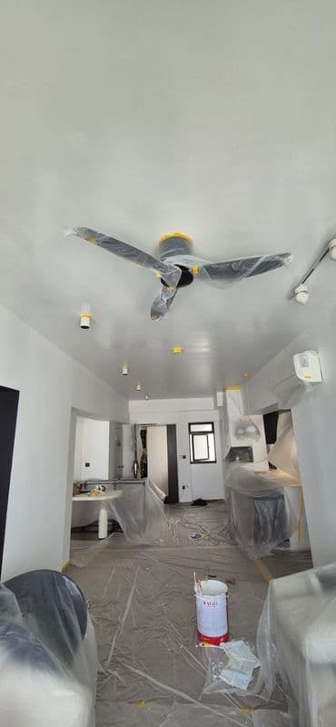 Ceiling Mould Removal and Anti-mould Painting for Residential Property at Northshore Drive - Image 9