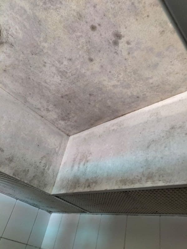 Ceiling Mold Removal and Anti-Mould Painting for Residential HDB at Bukit Merah - Image 1