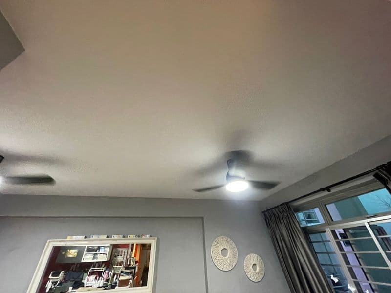 Ceiling Mold Removal and Anti-Mould Painting for Residential HDB at Bukit Merah