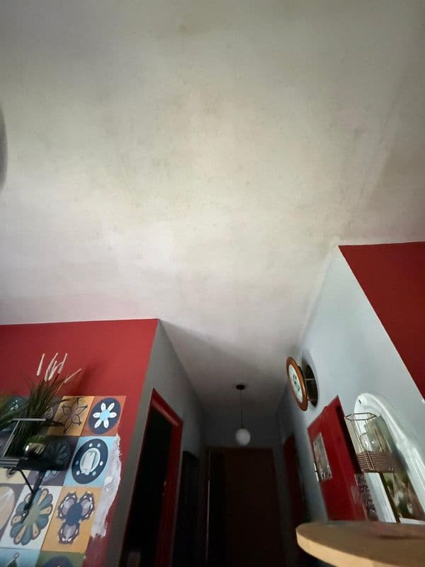 Ceiling Mold Removal and Anti-Mould Painting for Residential HDB at Bukit Merah - Image 12