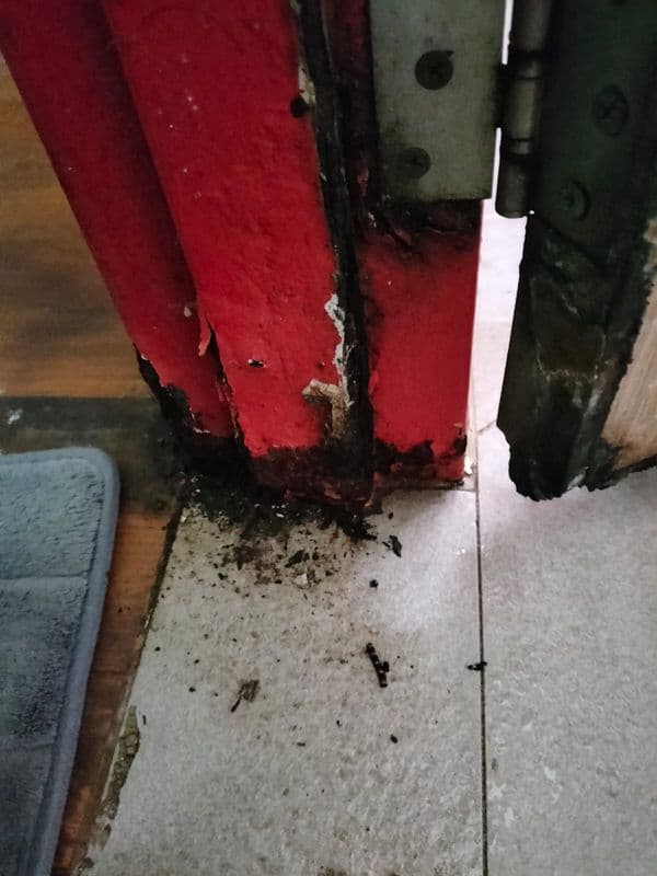 Ceiling Mold Removal and Anti-Mould Painting for Residential HDB at Bukit Merah - Image 2