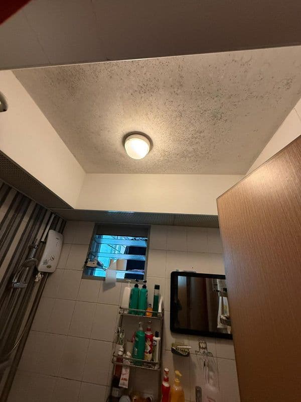 Ceiling Mold Removal and Anti-Mould Painting for Residential HDB at Bukit Merah - Image 3