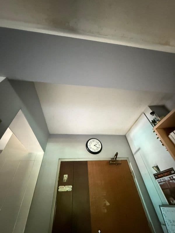 Ceiling Mold Removal and Anti-Mould Painting for Residential HDB at Bukit Merah - Image 4