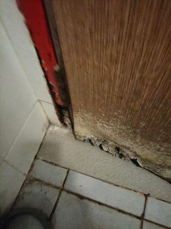 Ceiling Mold Removal and Anti-Mould Painting for Residential HDB at Bukit Merah - Image 5
