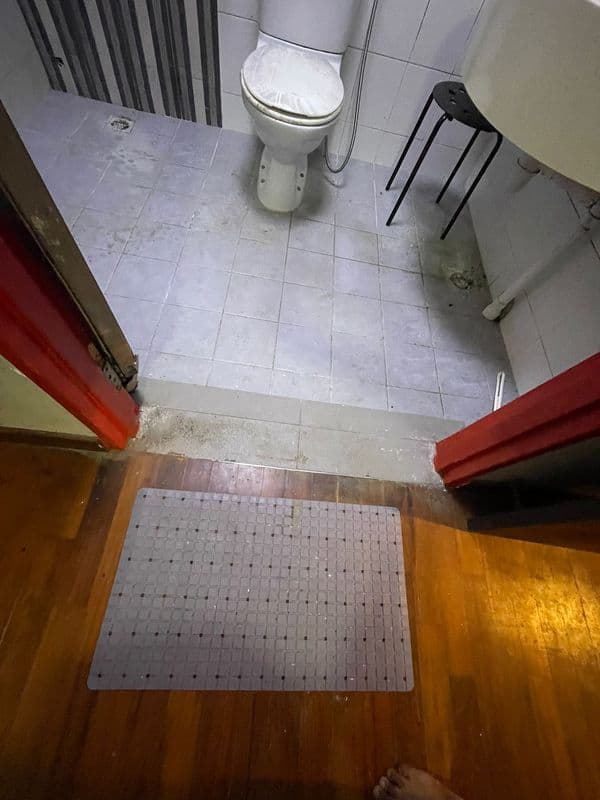 Ceiling Mold Removal and Anti-Mould Painting for Residential HDB at Bukit Merah - Image 7