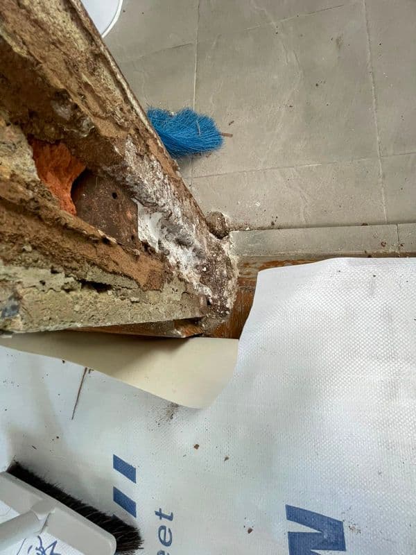 Door and Frame Removal for Residential Landed at Swiss View - Image 3