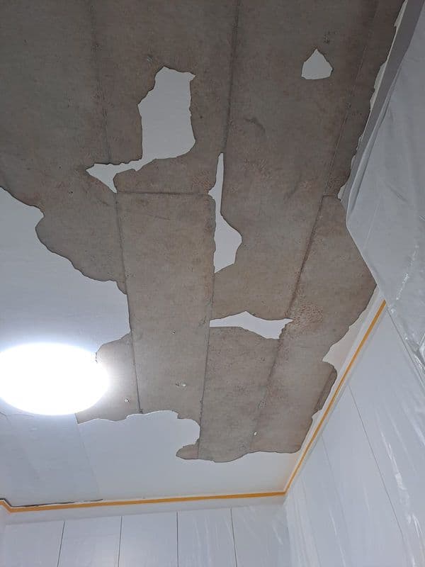 False Ceiling & Wall Cornice Hacking & Ceiling Mould Removal & Anti-mould Painting for Residential Property at Tampines - Image 4