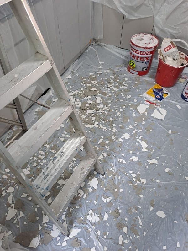 False Ceiling & Wall Cornice Hacking & Ceiling Mould Removal & Anti-mould Painting for Residential Property at Tampines - Image 6