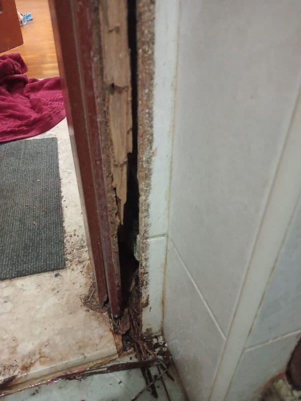 Door Frame & Door Removal Services for Residential Property at Choa Chu Kang - Image 7