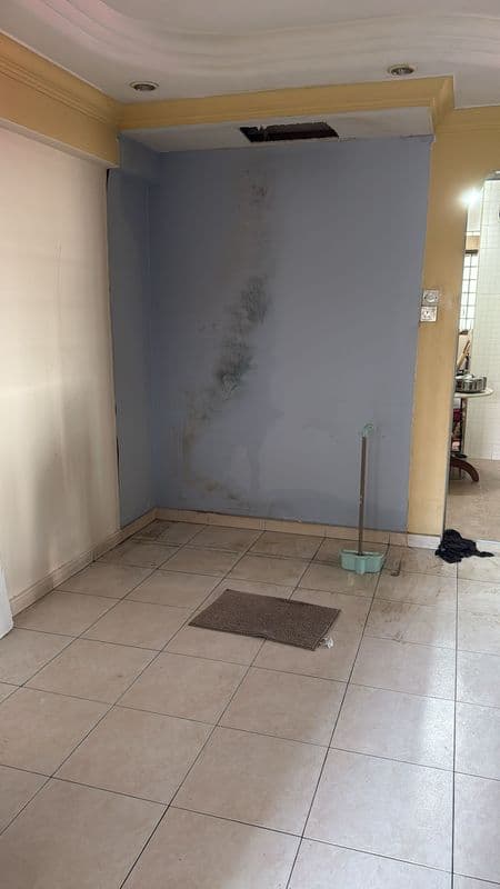 Built-in Carpentry and Kitchen Dismantling for Residential Property at Woodlands - Image 2