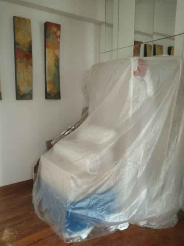 Comprehensive Hacking Services for Residential Unit at Bideford Road - Image 8