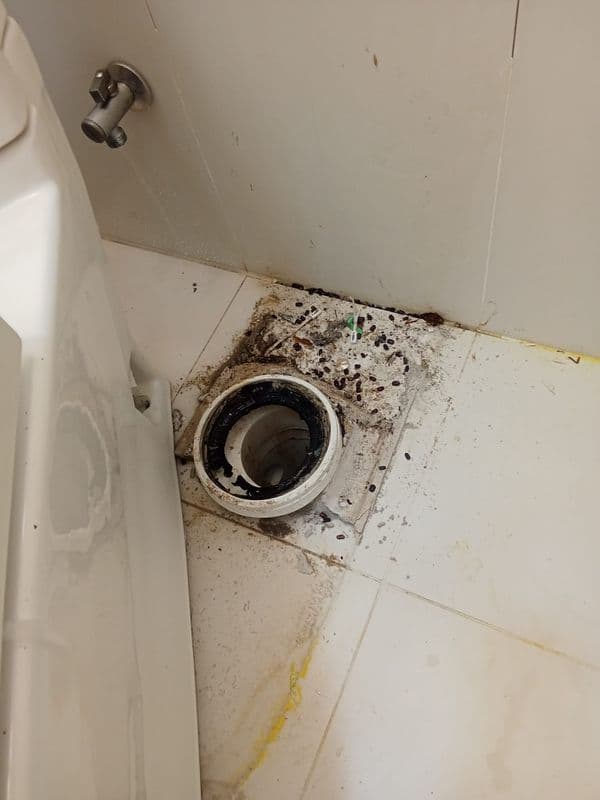 Toilet Bowl Removal and Reinstallation for residential Condo at Singapore 247855 - Image 5
