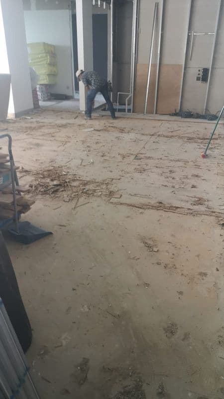 Comprehensive Demolition & Dismantling Services for Residential Property at Tanglin - Image 1