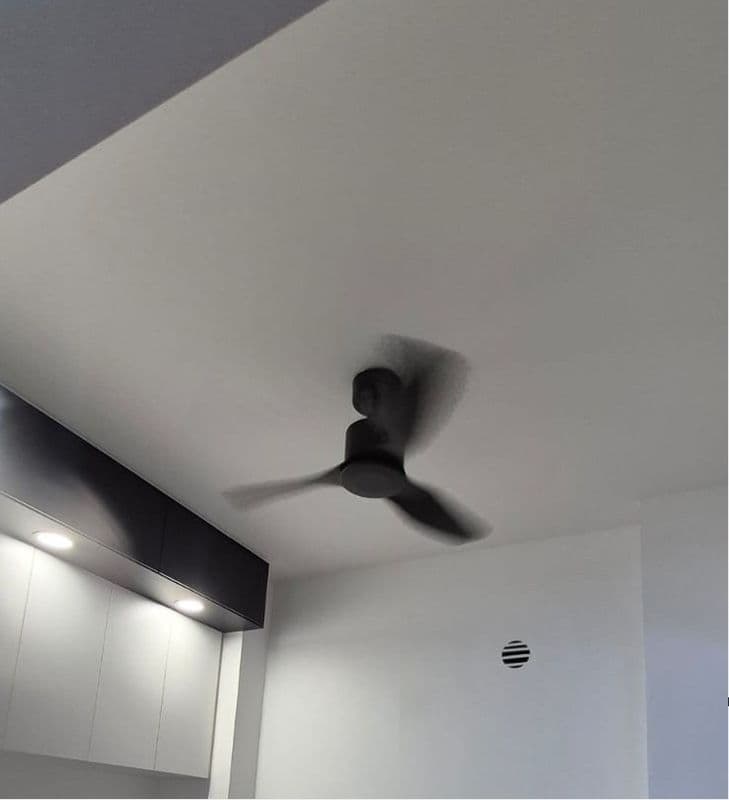 Ceiling Mould Removal and Anti-mould Painting for Residential Property at Northshore Drive