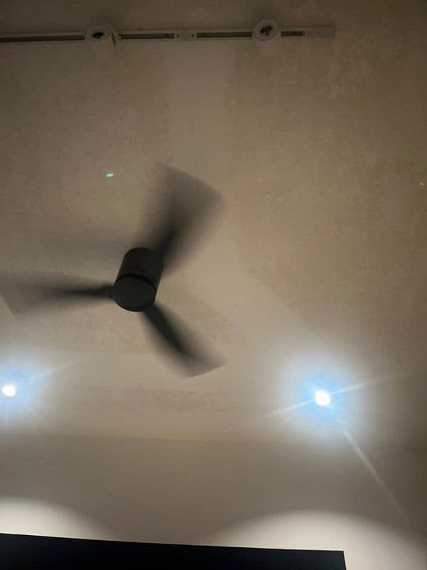 Ceiling Mould Removal and Anti-mould Painting for Residential Property at Northshore Drive - Image 12