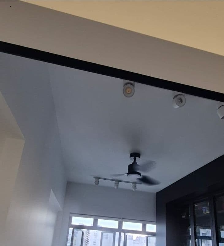 Ceiling Mould Removal and Anti-mould Painting for Residential Property at Northshore Drive - Image 2