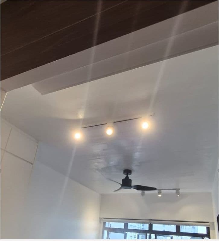 Ceiling Mould Removal and Anti-mould Painting for Residential Property at Northshore Drive - Image 3