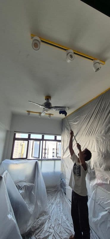Ceiling Mould Removal and Anti-mould Painting for Residential Property at Northshore Drive - Image 5