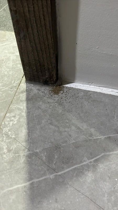 Door Frame & Door Removal Services for Residential Property at Kent Ridge Hill Residences - Image 2