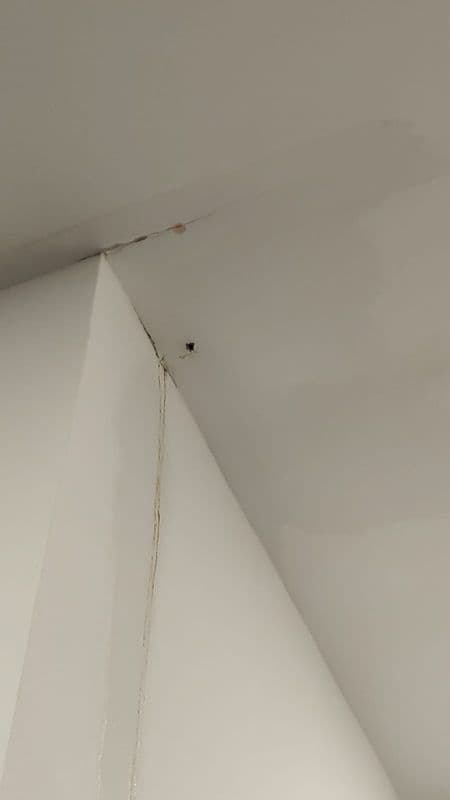 Featured image for Reinstatement Services for Industrial Property at Ubi