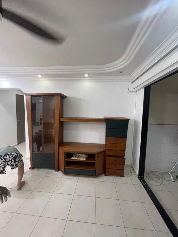 General Dismantling and Painting for Residential at Woodlands - Image 5