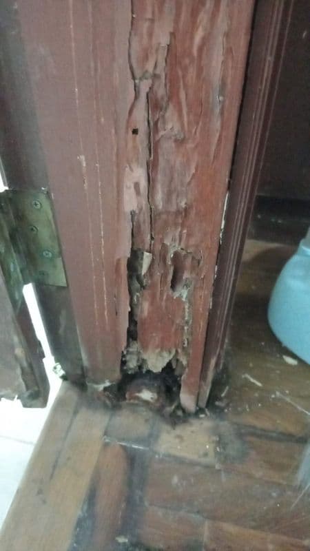 Door Frame & Door Removal Services for Residential Property at Choa Chu Kang - Image 6