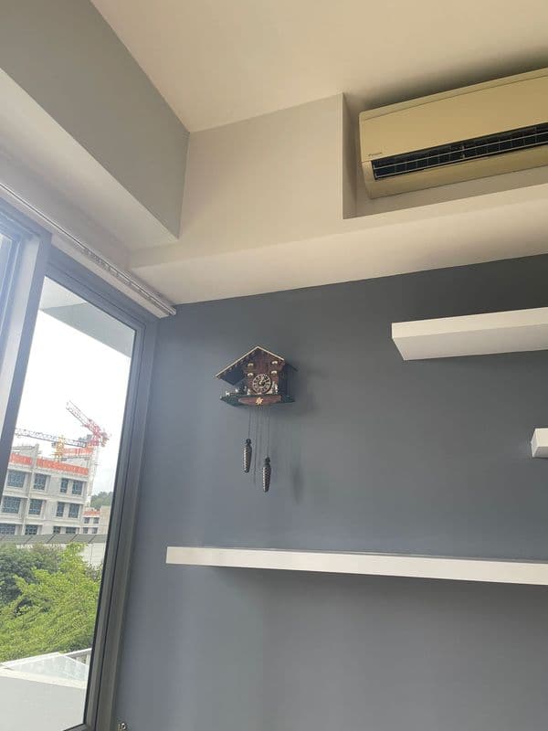 General Dismantling Disposal Services for Residential Property at Woodhaven - Image 4