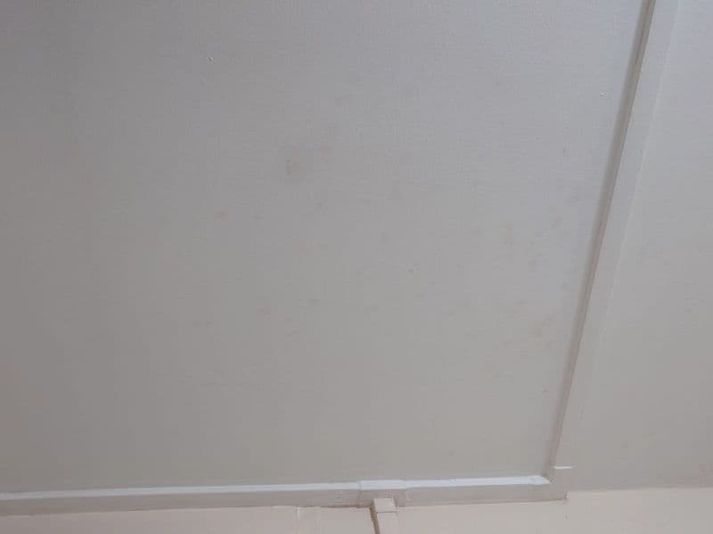 Ceiling Mould Removal and Anti-Mould Painting for Residential Property at Tampines - Image 8