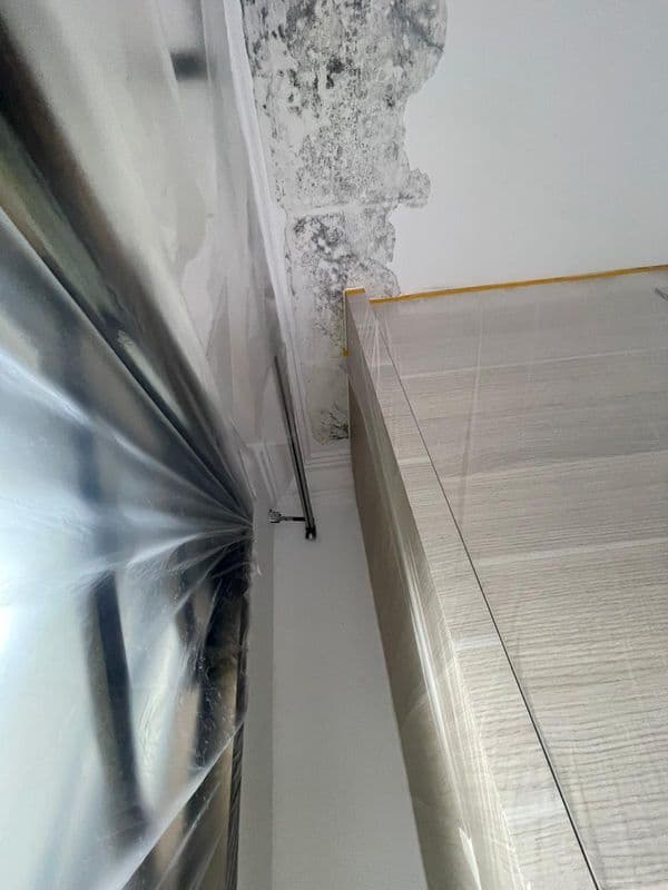 General Painting & Touch-up Services for Residential Property at Tampines - Image 5