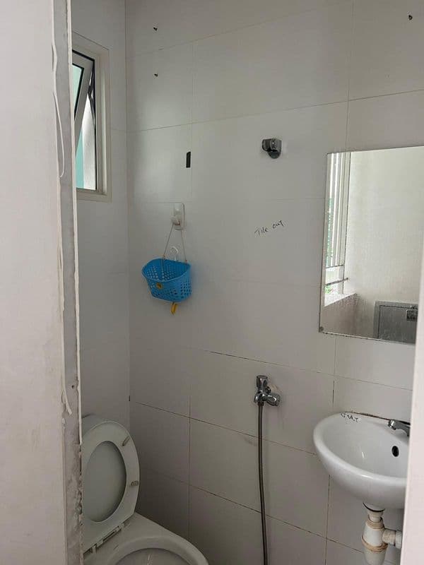 Demolition Services for Residential Property at Bukit Timah - Image 2