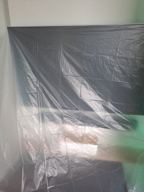Ceiling mould removal and anti-mould painting process Singapore