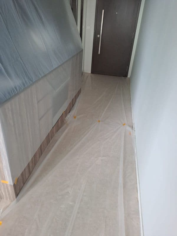 Professional ceiling mould removal and anti-mould painting services Singapore